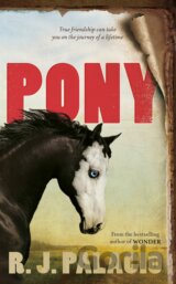 Pony