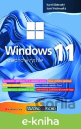 Windows 11