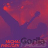 Michal Pavlíček: Faces