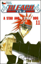 Bleach 11