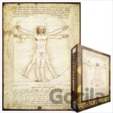 Vitruvius man