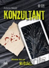Konzultant
