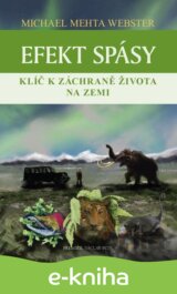 Efekt spásy