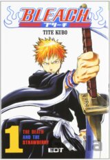 Bleach 1