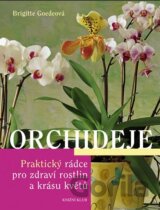 Orchideje