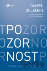 Pozornost