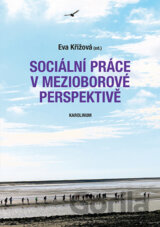 Sociální práce v mezioborové perspektivě