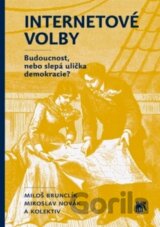 Internetové volby