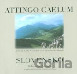 Slovensko