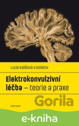 Elektrokonvulzivní léčba – teorie a praxe