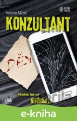 Konzultant