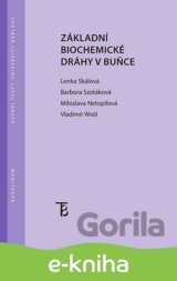 Základní biochemické dráhy v buňce