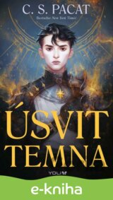 Úsvit temna
