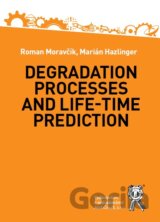 Degradation Processes and Life-time Prediction
