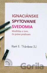 Ignaciánske spytovanie svedomia