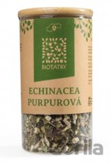 Echinacea purpurová