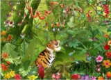 François Ruyer - Jungle