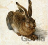 Albrecht Dürer - The Rabbit, 1502