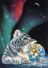 Schim Schimmel - Earth Light