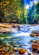 Beautiful Waterfall in the Forest