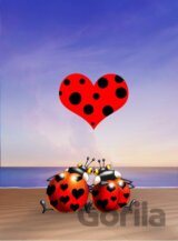 François Ruyer: Love