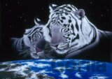 Schim Schimmel - Sleep Tight