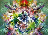 Spring Flowers and Butterflies