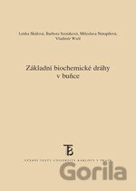 Základní biochemické dráhy v buňce