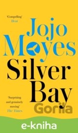 Silver Bay