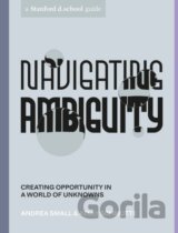 Navigating Ambiguity