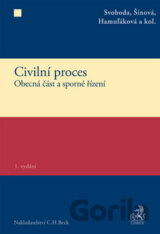 Civilní proces