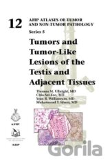 Tumors and Tumor-Like Lesions of the Testis and Adjacent Tissues