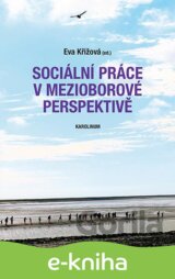 Sociální práce v mezioborové perspektivě