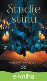 Studie stínů