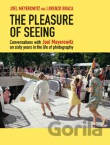 The Pleasure of Seeing