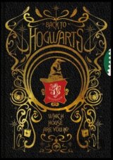 Harry Potter Spinner blok