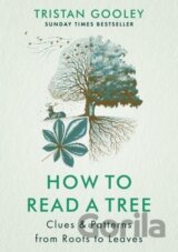 How to Read a Tree: Clues & Patterns from Roots to Leaves