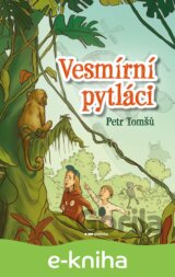 Vesmírní pytláci
