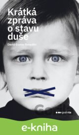Krátká zpráva o stavu duše