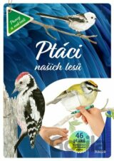 Ptáci našich lesů