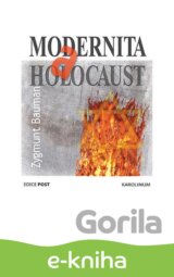 Modernita a holocaust