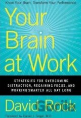 Your Brain at Work