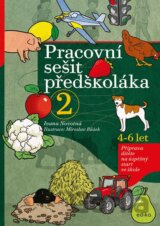 Pracovní sešit předškoláka 2