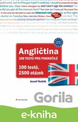 Angličtina 100 testů pro pokročilé