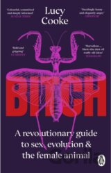 Bitch