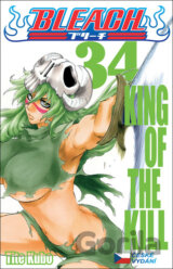 Bleach 34