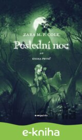 Poslední noc