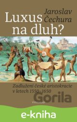 Luxus na dluh?