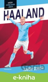 Hvězdy fotbalového hřiště - Haaland
