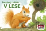 Poznávej zvířátka: V lese